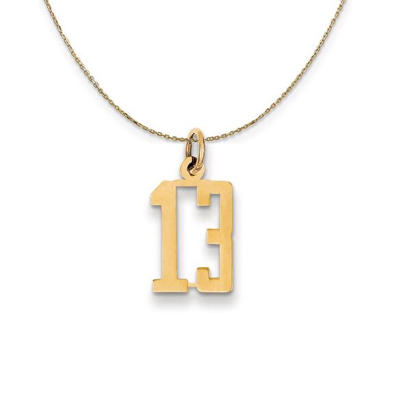14k Yellow Gold, Alumni Small Elongated Number 13 Necklace - 24 Inch - Picture 1 of 7